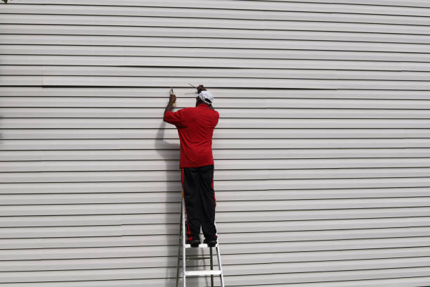 Best Siding Painting and Refinishing  in Hillsville, VA